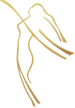 Alfred Sofer, MD logo